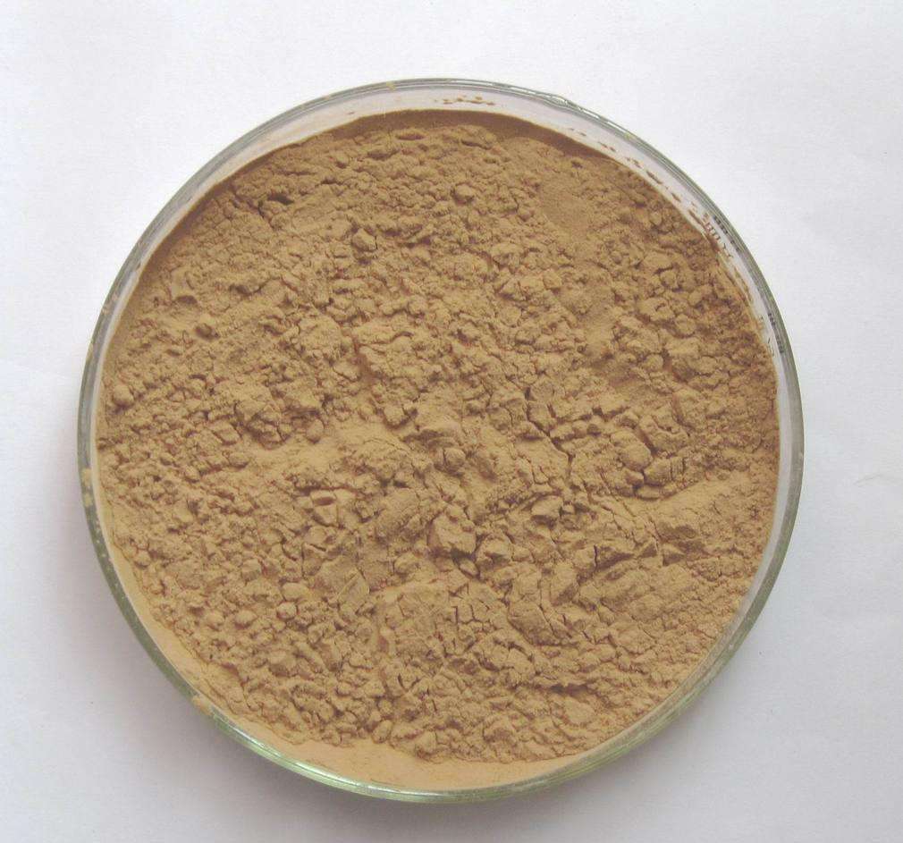 Fruits extract of trifoliate orange Synephrine Fruits extract of trifoliate orange Synephrine