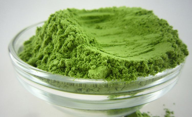 Barley seedling meal and its nutritional value