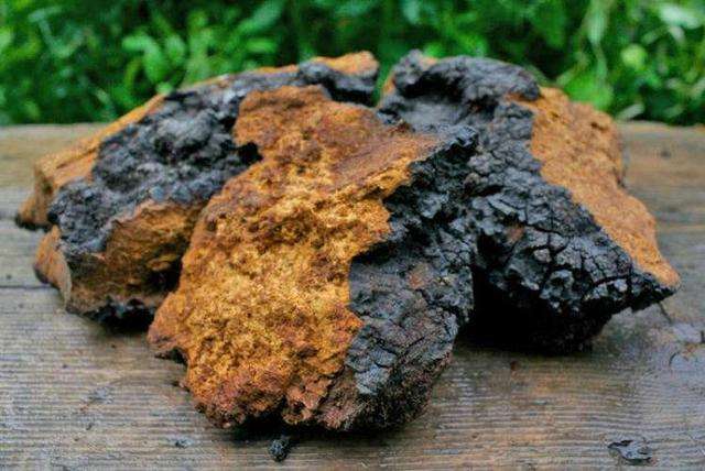 11cfd0a87bffb772445853848c1c6857