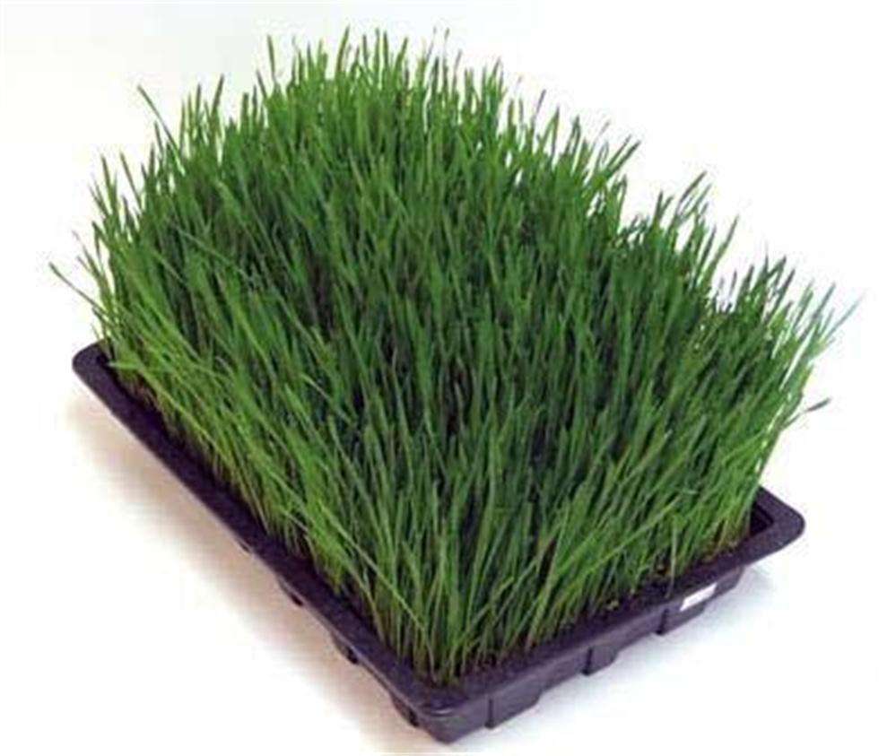 6b0cacc373e20a6274edf03907b5344b