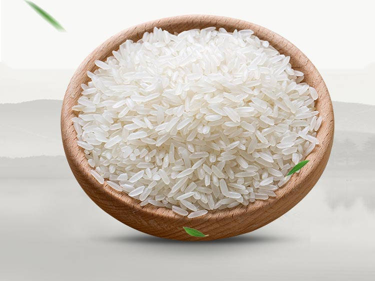 大米蛋白粉的原料
